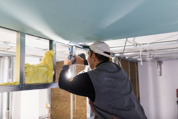 Best Attic Insulation Installation  in Florence Graham, CA